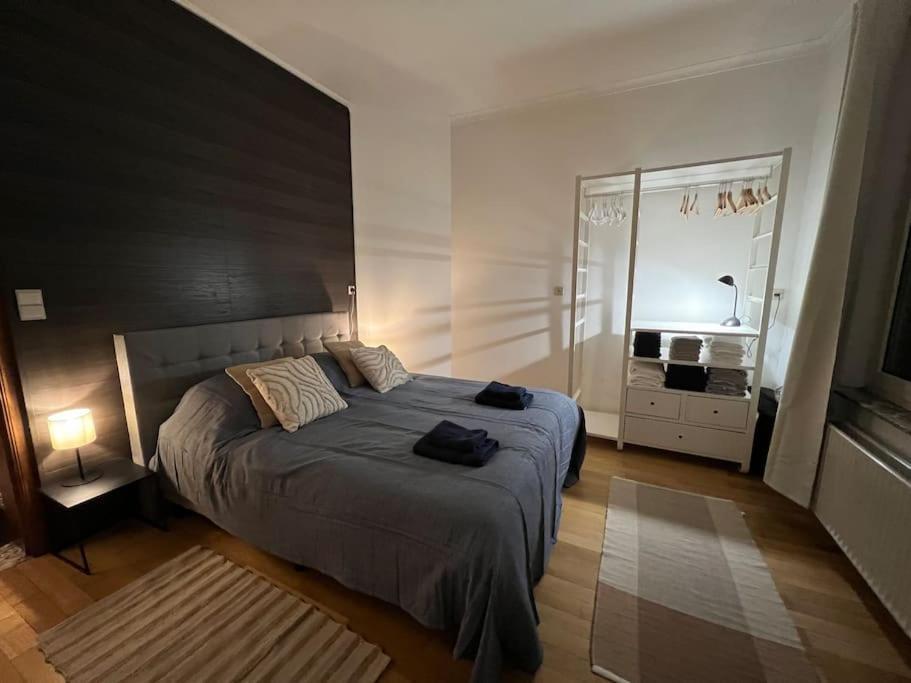 Bellevue - Grand Appartement Pour 5 Sur Les Quais De La Meuse Liege Luaran gambar